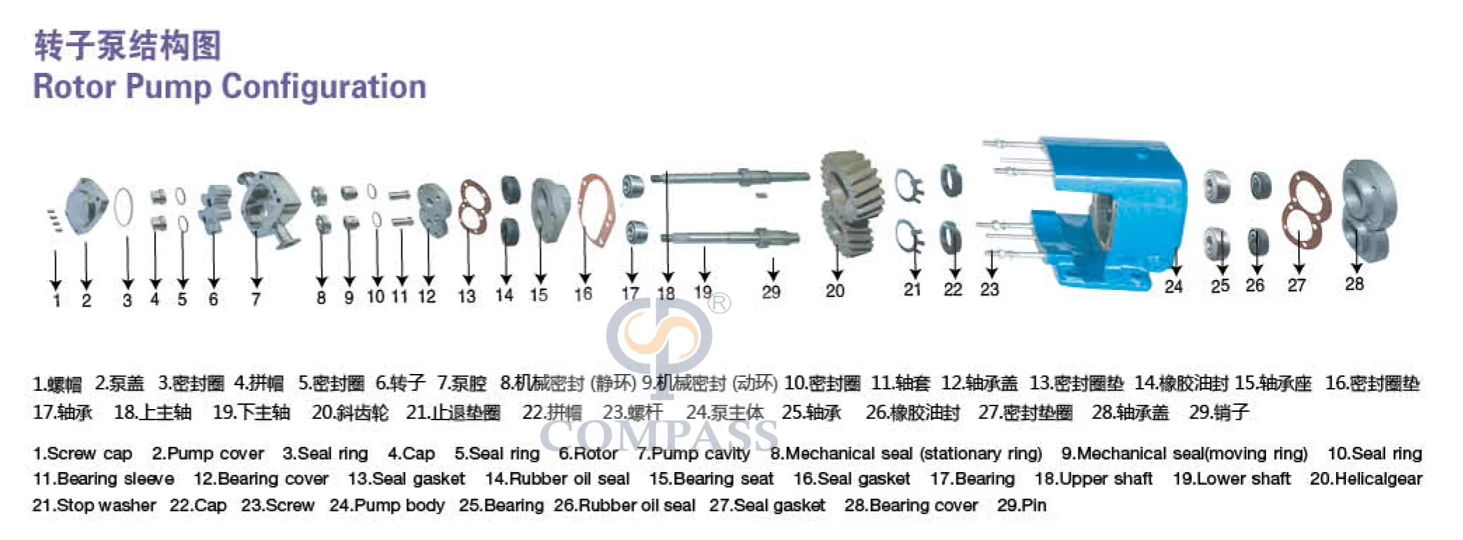 转子泵图纸1 转子泵图纸1