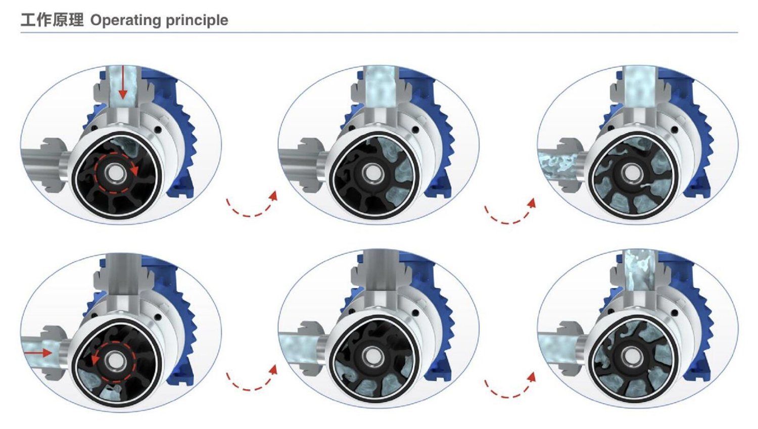 photobank (7) photobank (7)