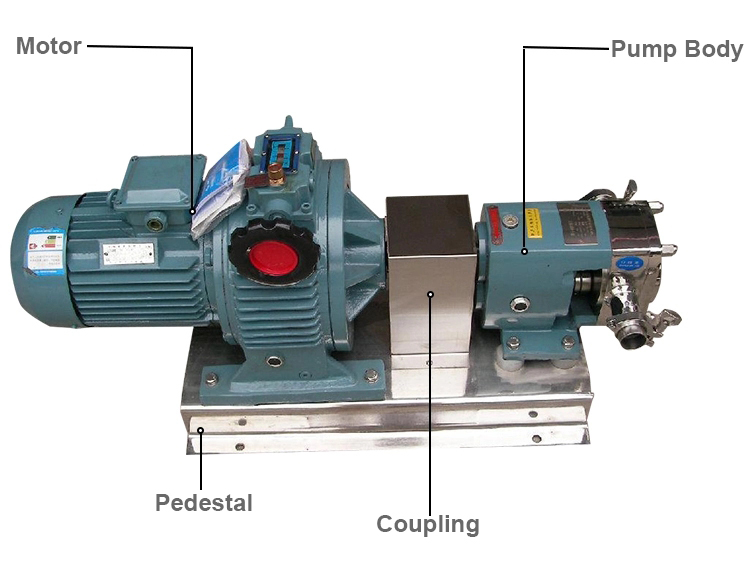 Sanitary Hygienic Stainless Steel Lobe Pump