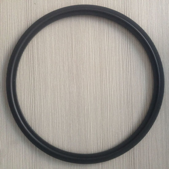 6&quot; Food Grade Triclover Viton Rubber Gasket