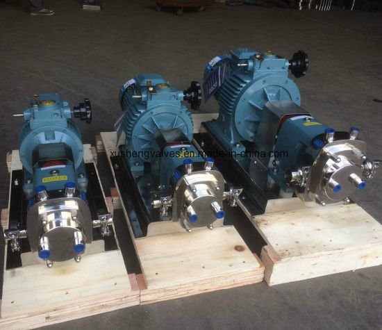 Stainless Steel 304 Double Wing Rotor Pump Rotary Lobe Pump