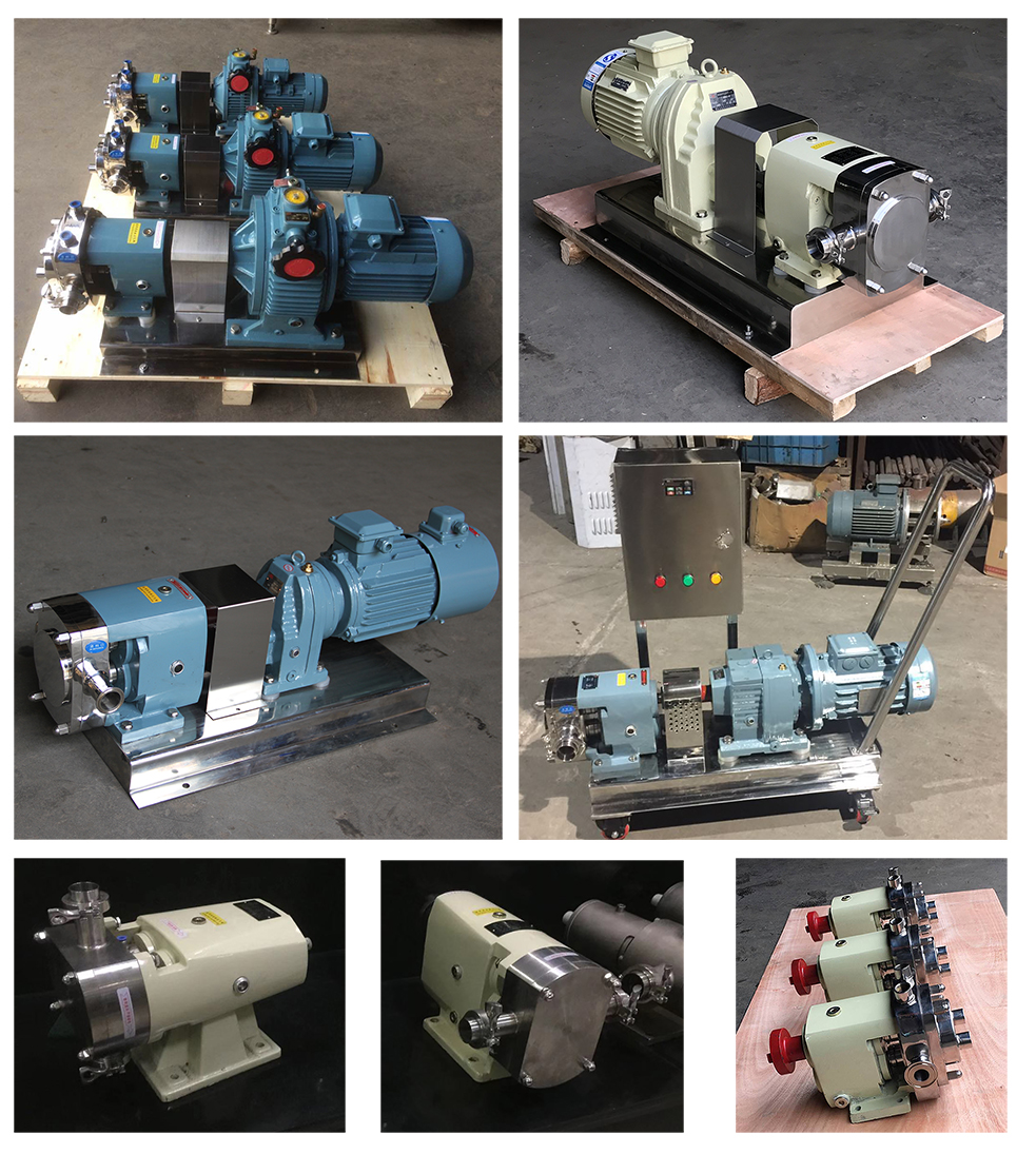 Real pictures of sanitary Lobe pumps 01