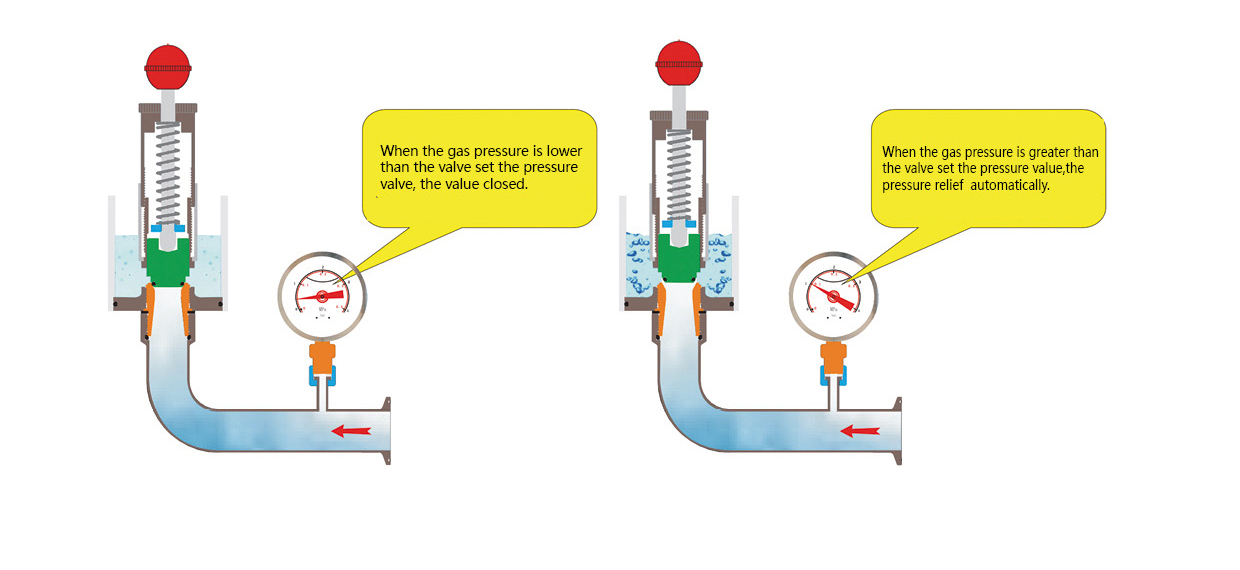 sanitary hygienic air relief valve